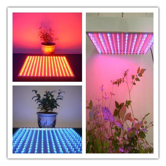 LED小功率植物灯