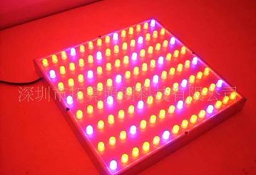 LED中功率植物灯
